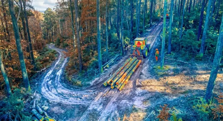 Treuil thermique forestier de débardage : comparatif 2026 et prix
